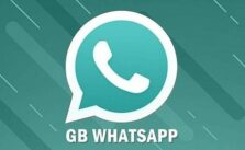 Fitur Unggulan GB Whatsapp Pro Apk