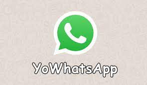 Yo WhatsApp